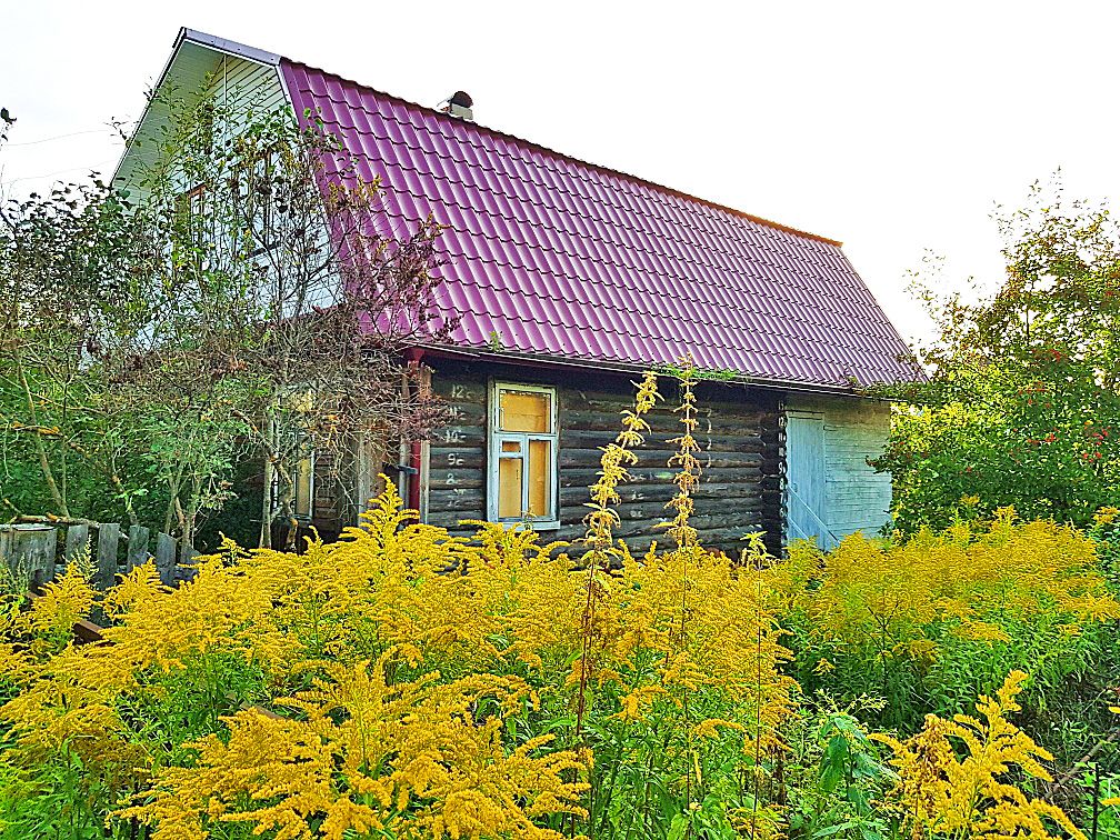 Купить Дачу В Городе Бор