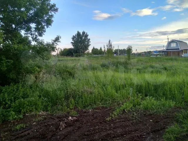 Чернуха Кстовского Р На Дом Купить