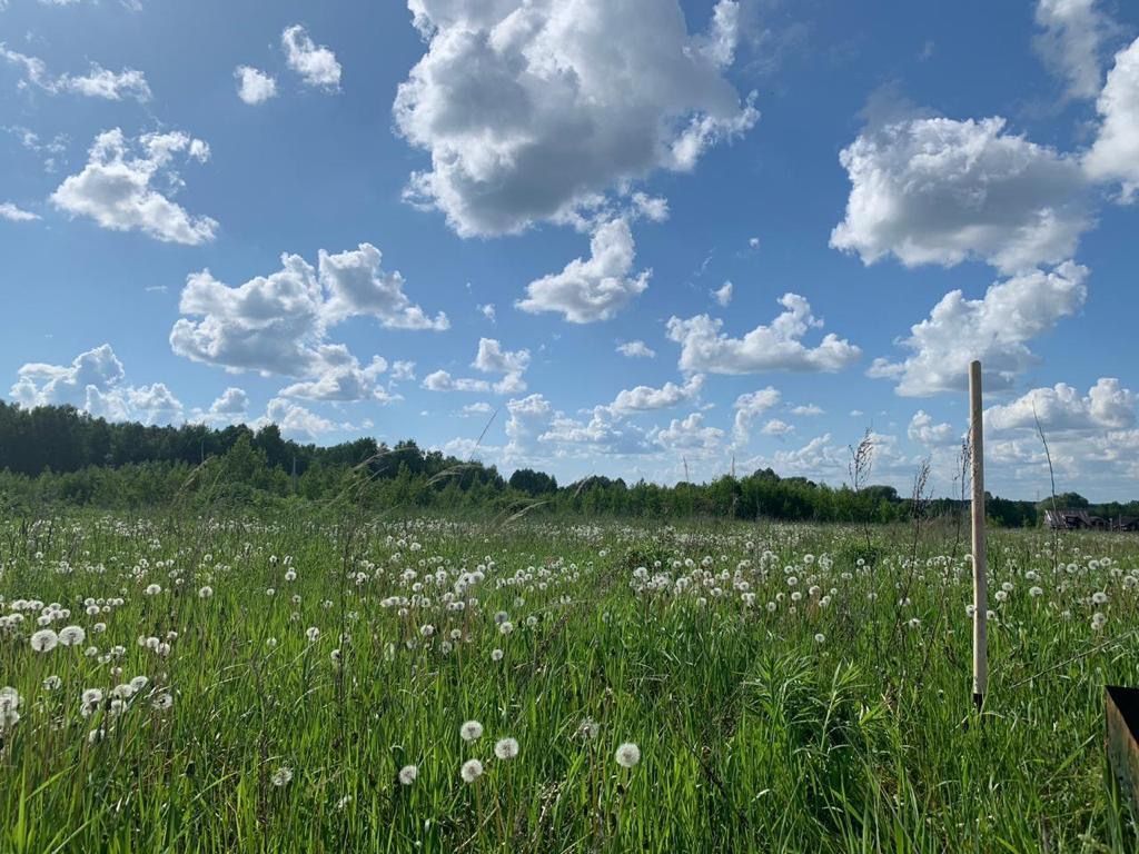 Купить Дом В Гремячках Богородского